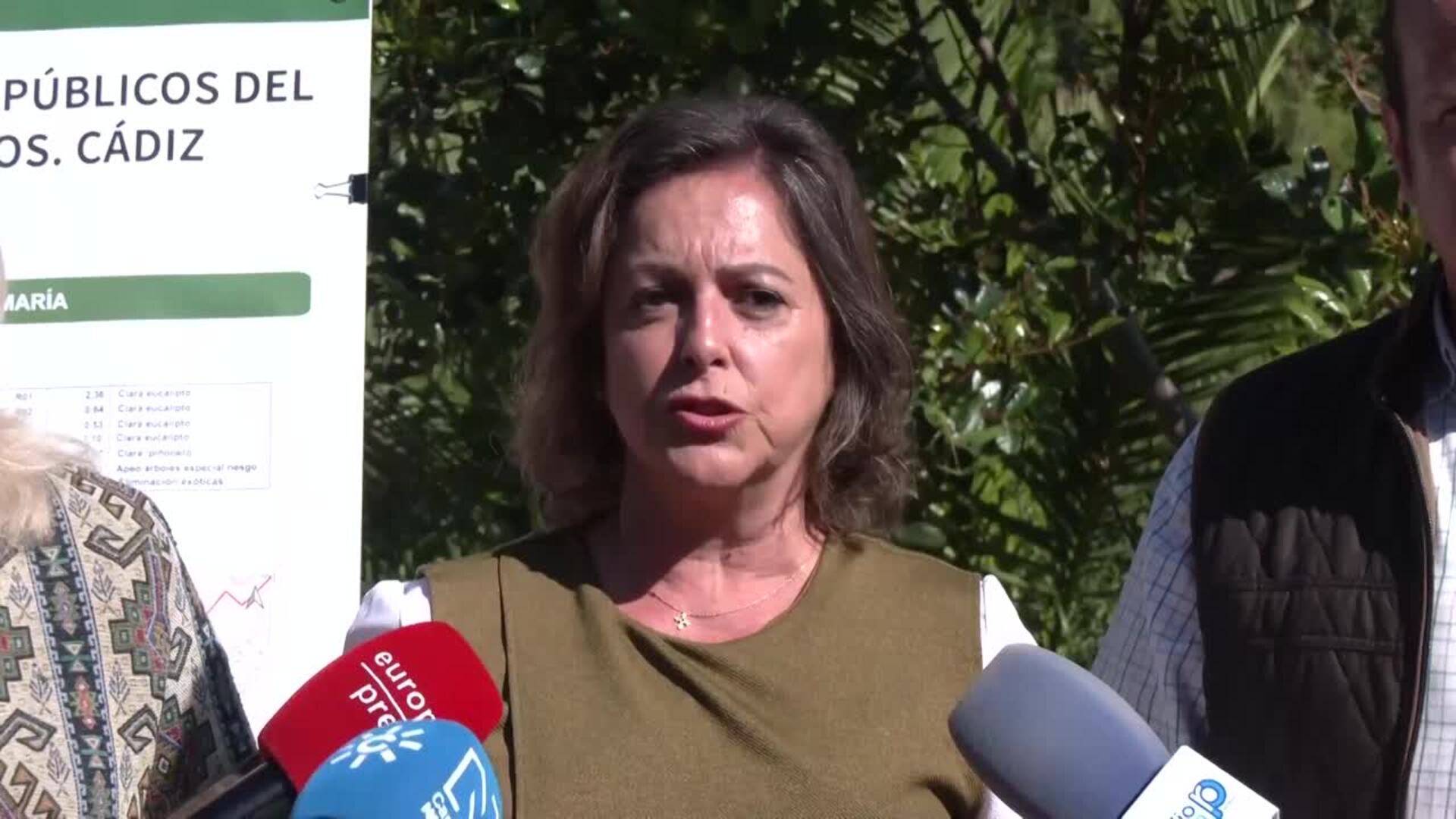 La Junta invierte 1,2 millones en tratamientos selvícolas en los montes del litoral gaditano