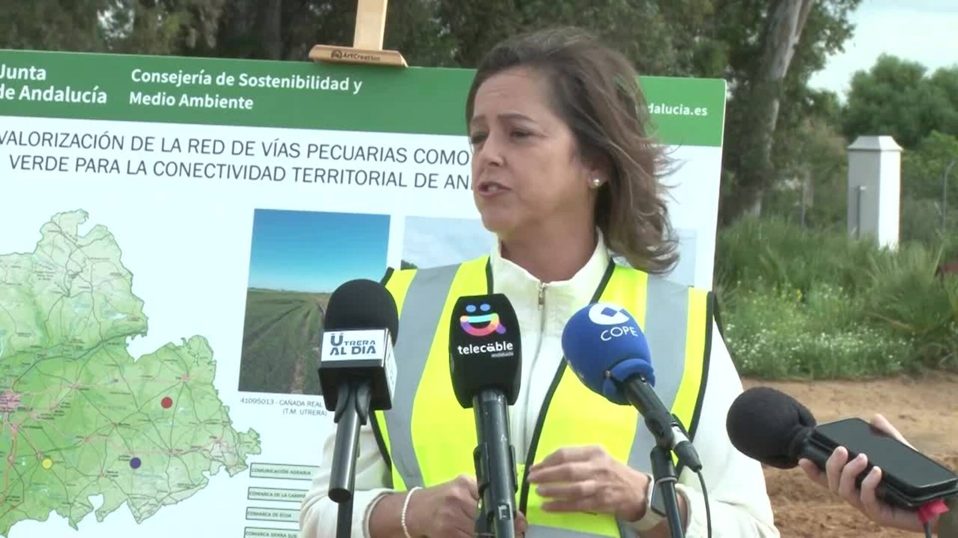 La Junta mejora la Cañada Real del Pajarero, entre Utrera y Los Molares