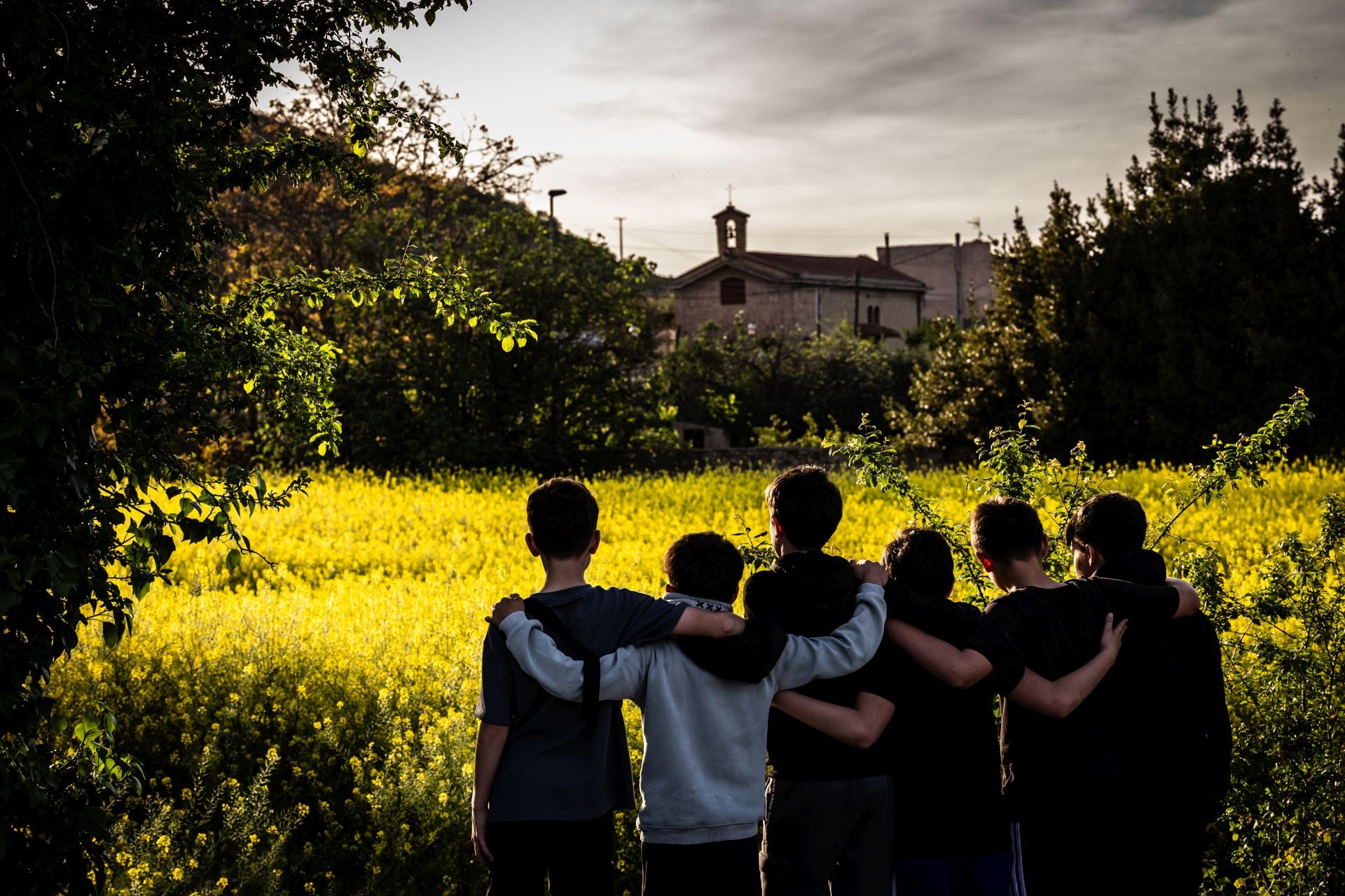 La explosión de color del jaramago, en imágenes | La Rioja