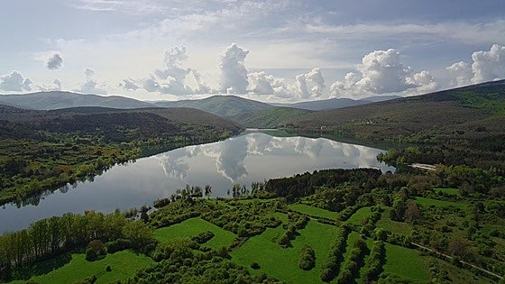 Primavera en el pantano González Lacasa