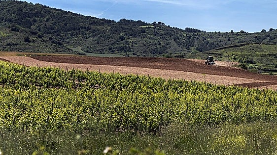 La Rioja ya ha completado el pago de las ayudas de la PAC 2025
