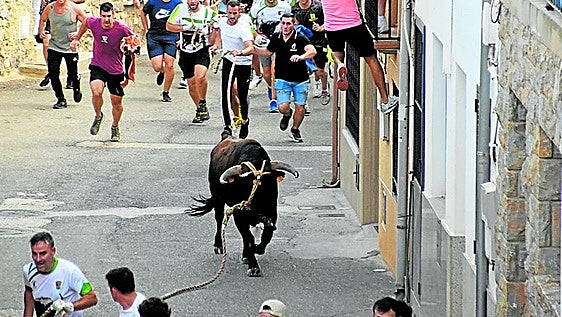 Los toros ensogados vuelven el sábado a las calles de Cabretón