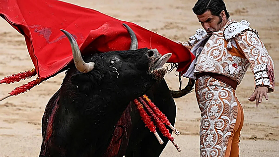 Morante no toreará este martes en Logroño por una lumbalgia