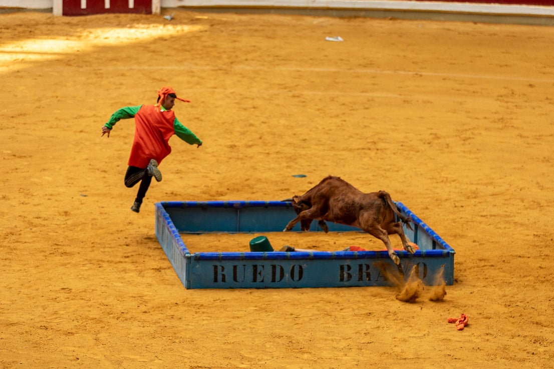 Caídas, revolcones y muchas risas durante las vaquillas