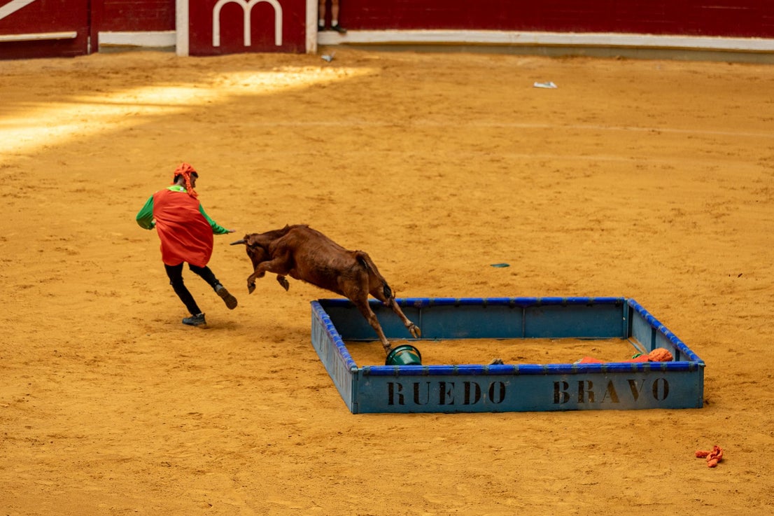 Caídas, revolcones y muchas risas durante las vaquillas