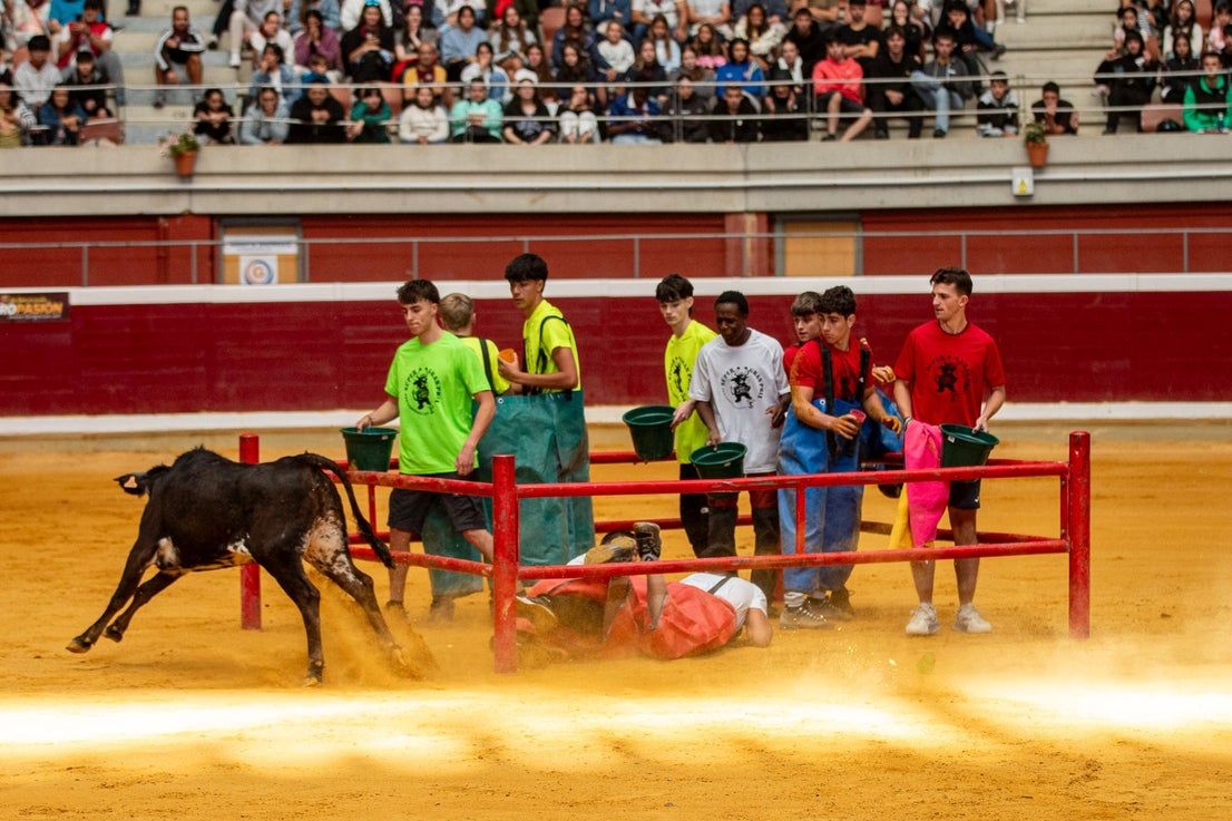 Caídas, revolcones y muchas risas durante las vaquillas