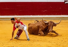 El concurso de recortes pone el broche taurino a las Fiestas de San Mateo