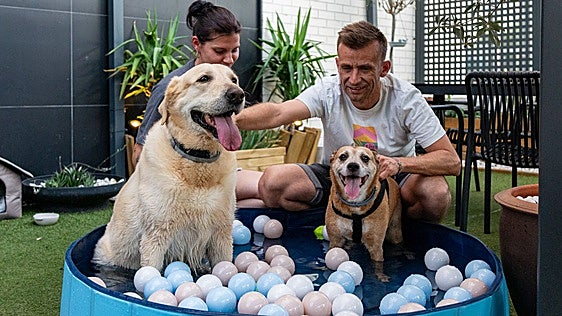 Un bar con piscinas para perros en Logroño