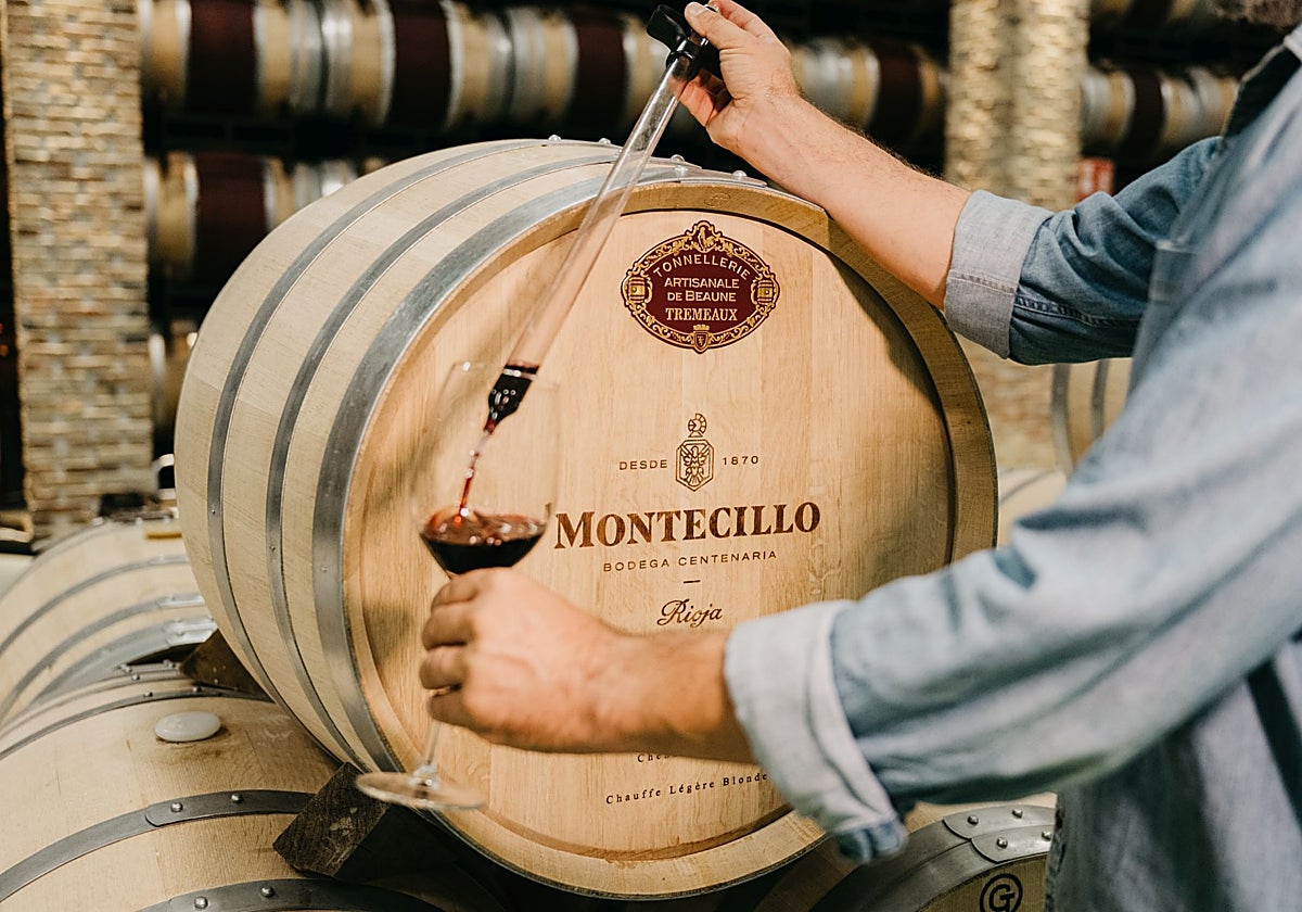 Enoturismo de vendimia en Bodegas Montecillo