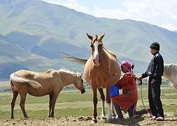 Una campesina ordeña una yegua en Syy-Samyr, en Kirguistán. / Afp