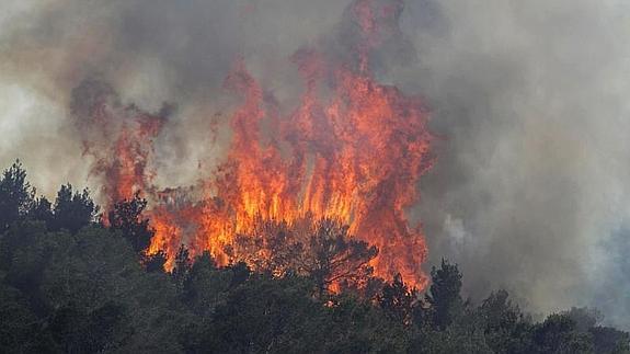 Imagen del incendio en Es Cubells. 
