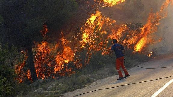 Un bombero participa en las tareas de extinción. 