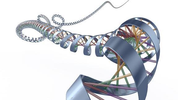 Imagen de la doble cadena helicoidal de ADN.