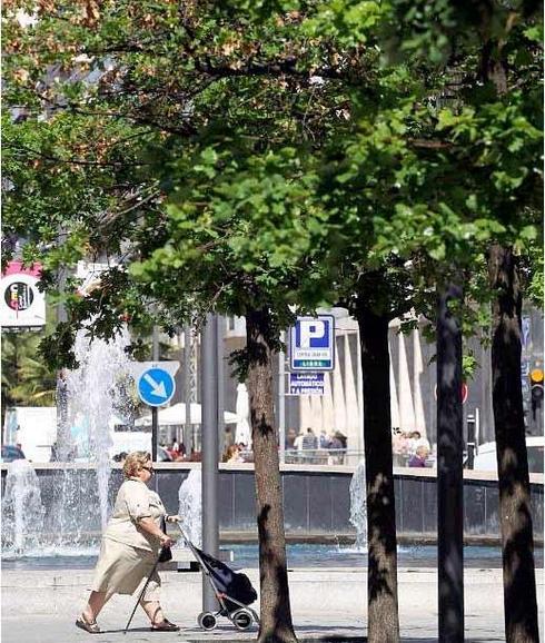 Árboles en la Gran Vía de Logroño. 