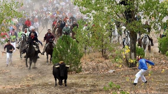 Los lanceros persiguen a 'Rompesuelas'.