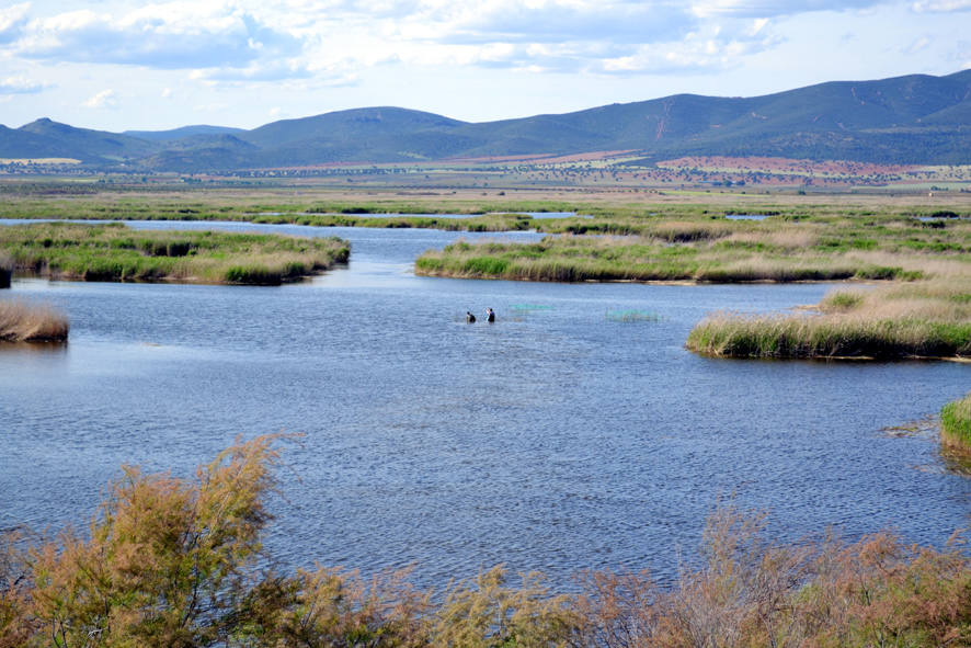 El Parque Nacional de Las Tablas de Daimiel 