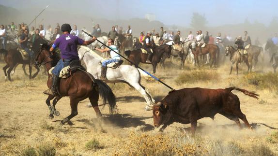 Un hombre a caballo lancea al toro.