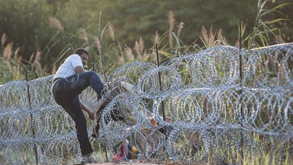 Un inmigrante intenta pasar la alambrada en la frontera entre Hungría y Serbia. 