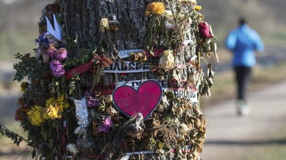 Flores y mensajes en un árbol de Friburgo.