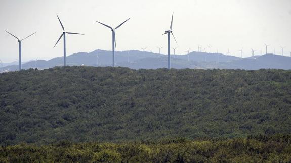 Parque eólico en Navarra.