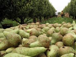 Tierra y agricultores protagonizan la nueva promoción de productos de calidad