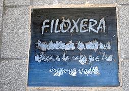 Una decoración por los suelos