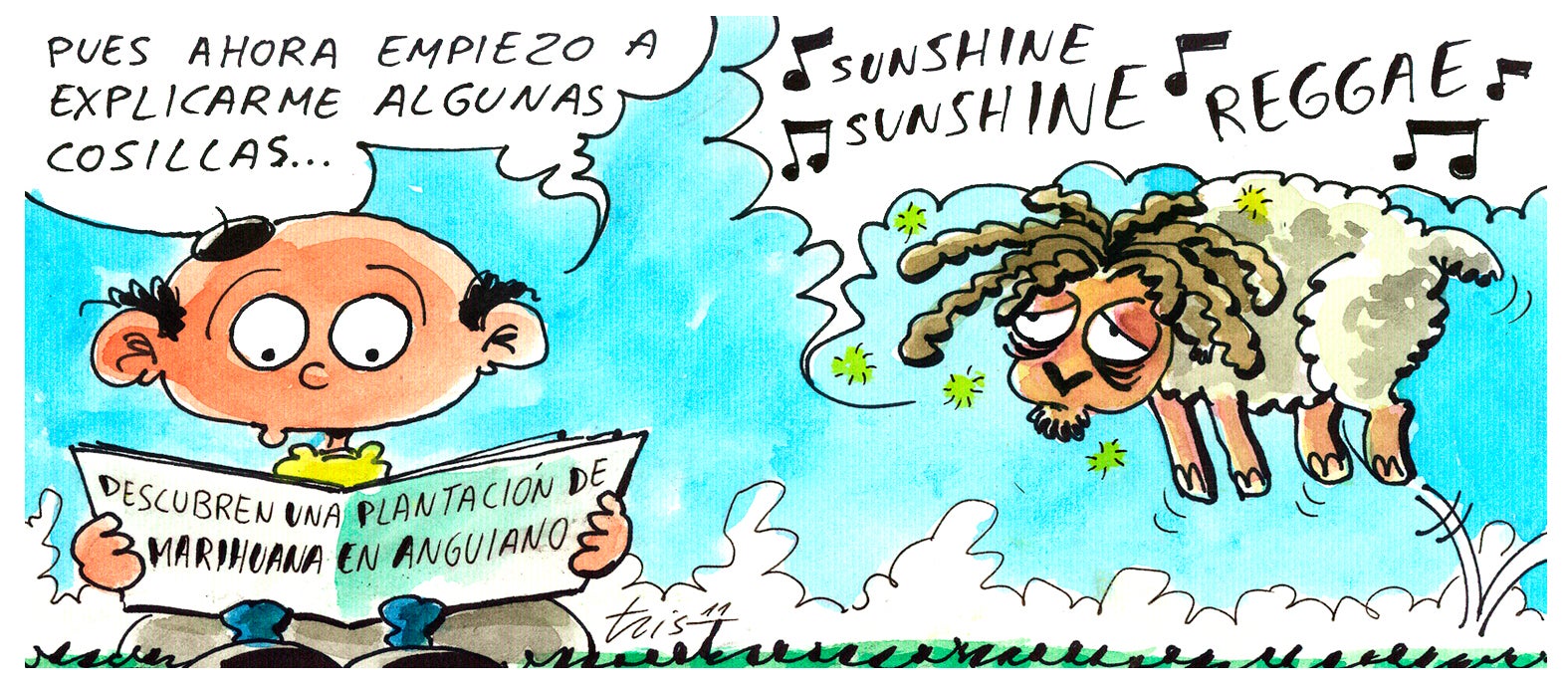 Imágenes del cultivo de marihuana hallado por la Benemérita. ::                         L.R.