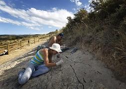 Estudiantes universitarios, durante su actividad en un campo de trabajo en la zona del yacimiento paleontológico de Las Losas. / JUSTO RODRÍGUEZ