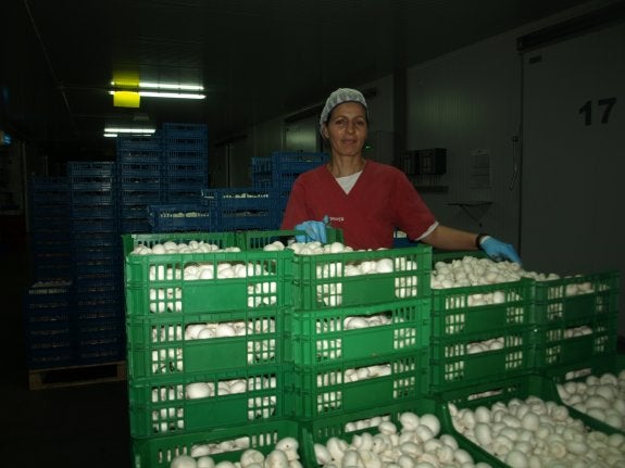 Souad, en las instalaciones de GARPER en Pradejón. 