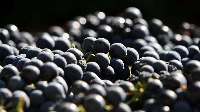 La UE asegura estar trabajando para proteger los dominios .wine y .vin