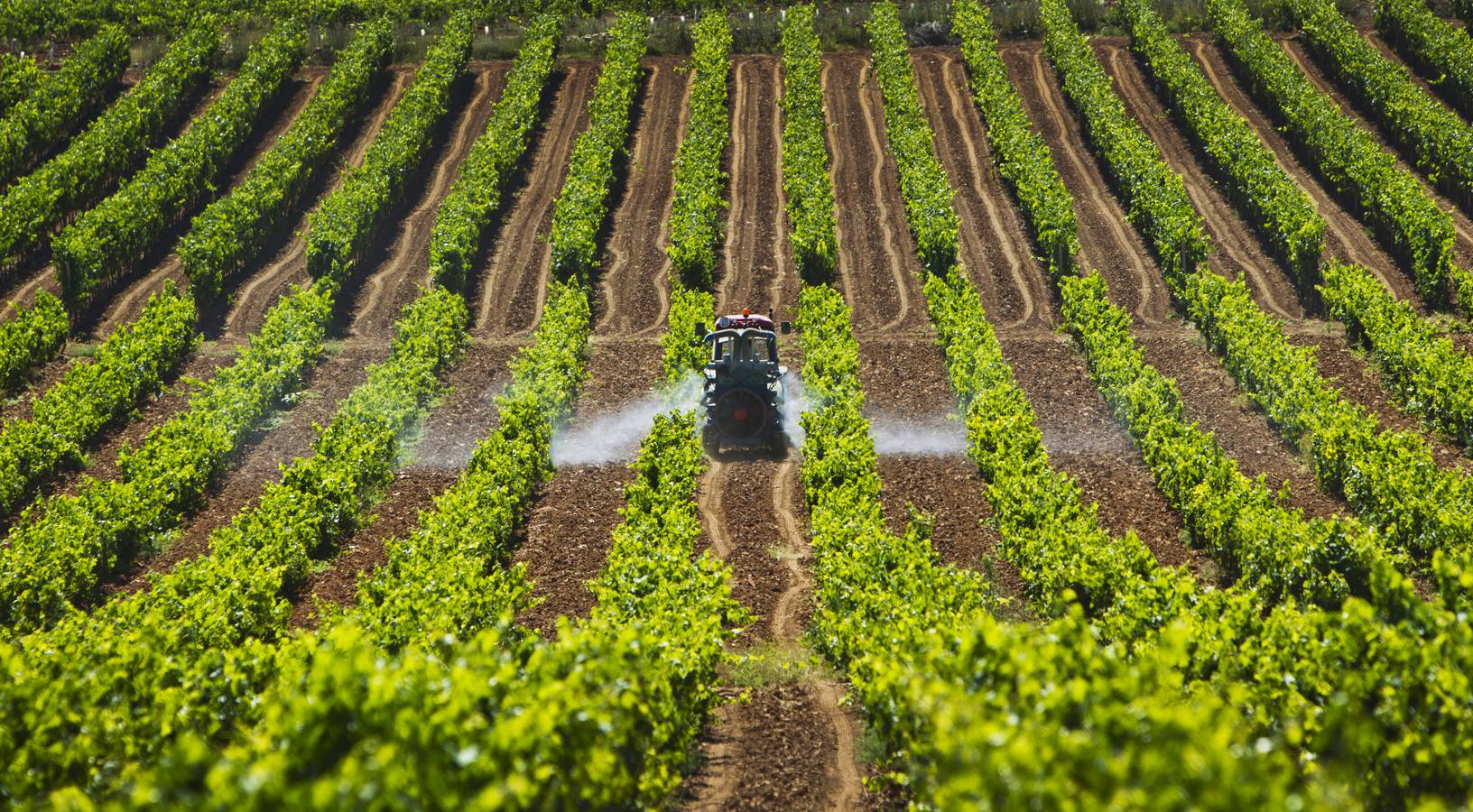 La agricultura hace bajar el paro en La Rioja en agosto