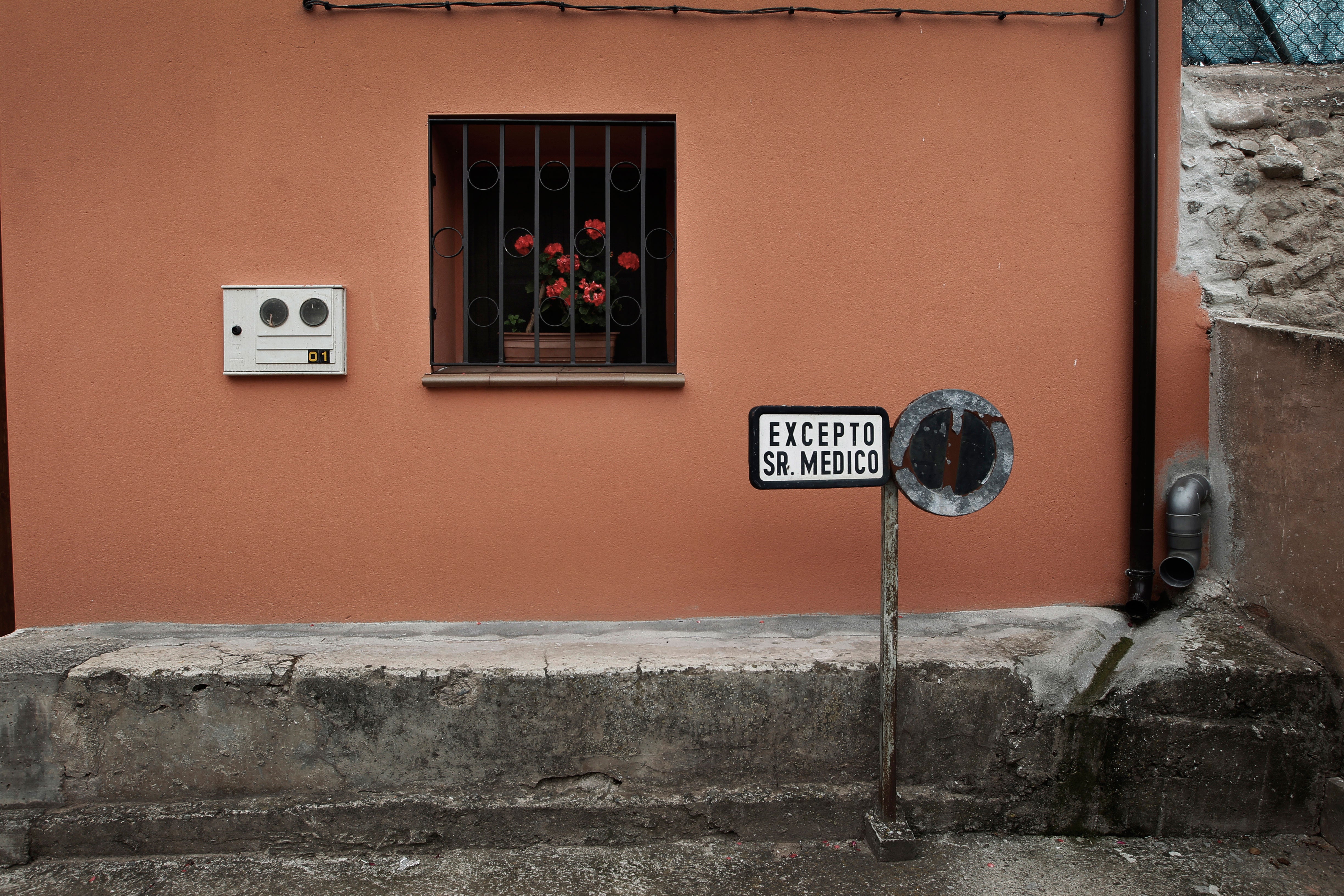 Con pelos y señales