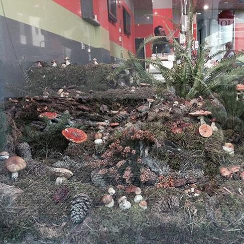 Setas al lado del mar