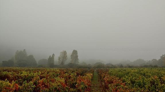 Uno de los días de niebal que hemos visto en La Rioja.