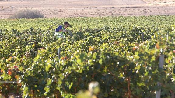 El desempleo subió en 1.166 personas en octubre en La Rioja