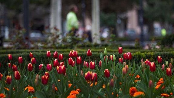 Logroño se pone verde en invierno