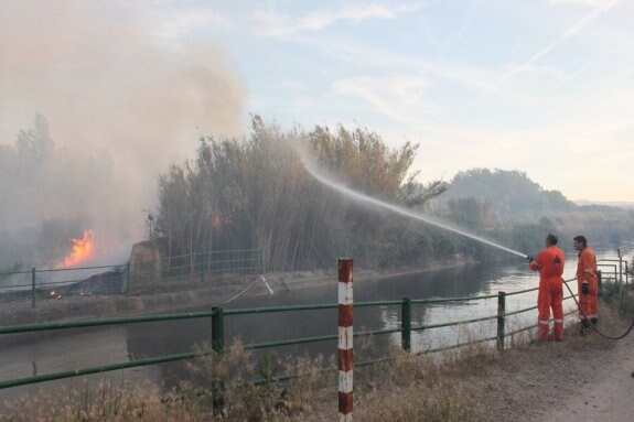 Labor de extinción de incendios de la agrupación alfareña. :: e.p.