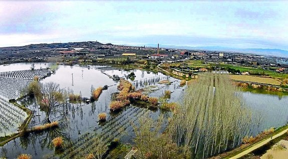 Alfaro. La inundación arrasó con todas las fincas, propiedades e infraestructuras que encontró a su paso. :: roberto varona