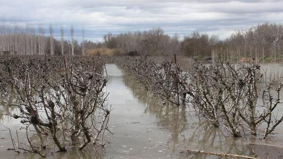 La Rioja destina 3,9 millones para paliar los daños de la crecida del Ebro