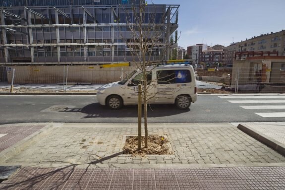 Plaza de aparcamiento en Viveros entre la calle Hospital Militar y un vado con su correspondiente arbolito plantado en medio. 
