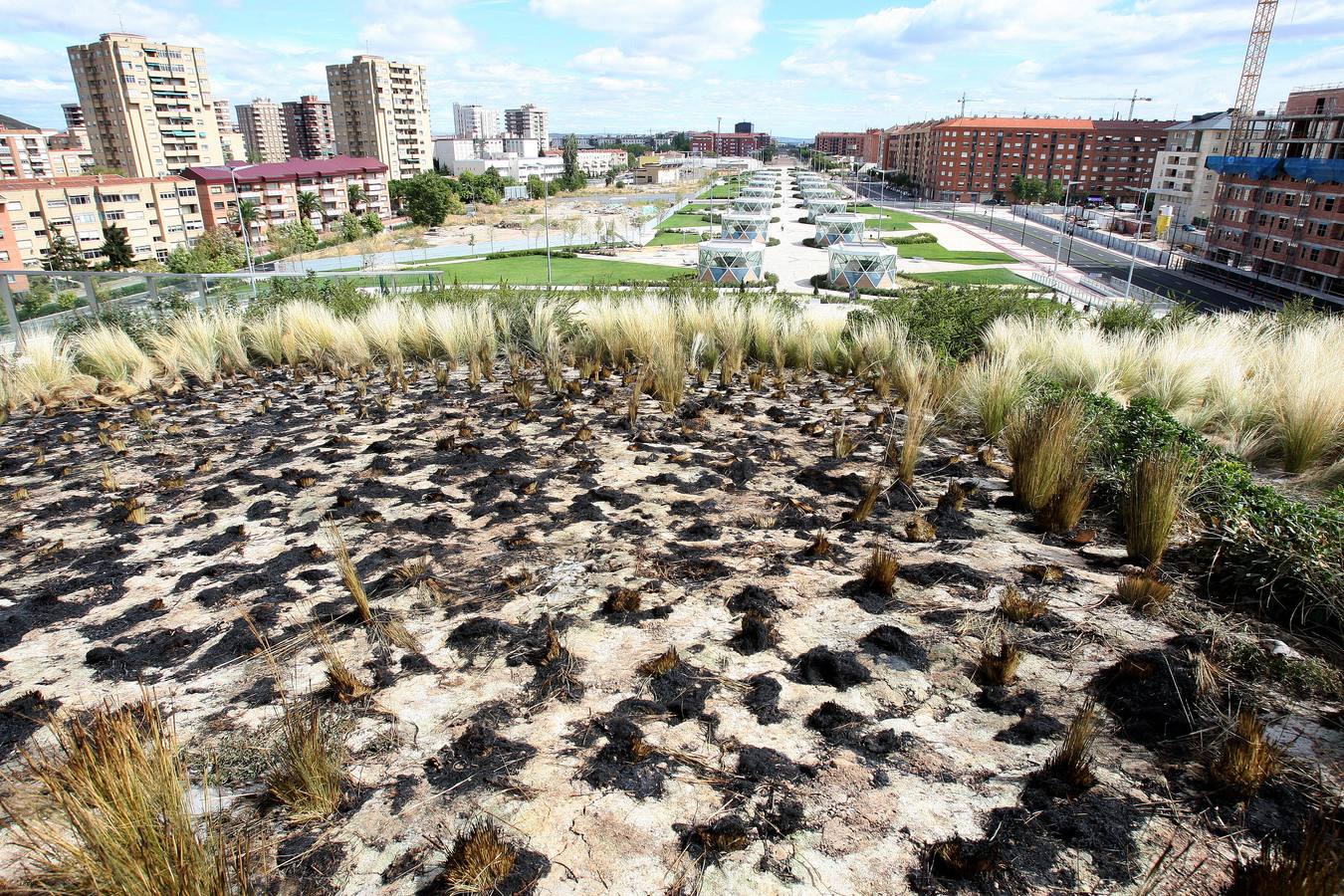 Vista del nuevo parque abierto sobre las vías. 