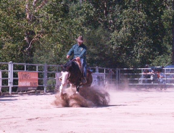 Un jinete domina a su caballo en el concurso de reining. :: L.r.
