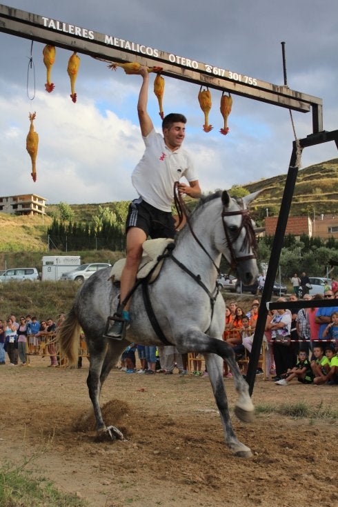 Manuel del Río agarra uno de los gallos ayer en Nalda. :: D.M.A.