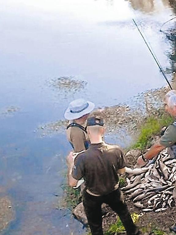 Un grupo de pescadores observando las truchas muertas aparecidas en la balsa de Anguiano tras el incidente de junio. 