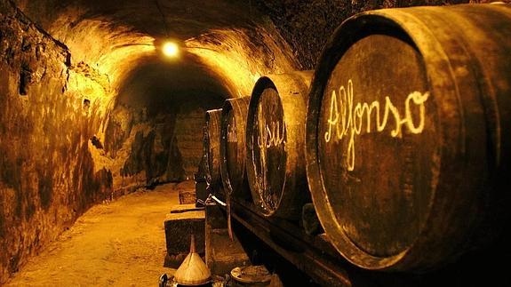 Visita a las centenarias bodegas de Rodezno