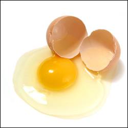 Una guía para saber dónde degustar los mejores platos elaborados con huevo