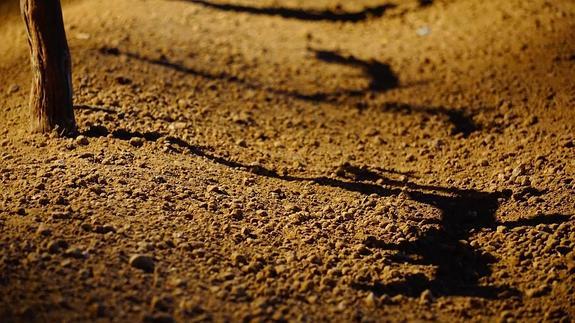 Entre sombras, la fotografía de Alfonso Aguilera, que ha ganado el concurso. 