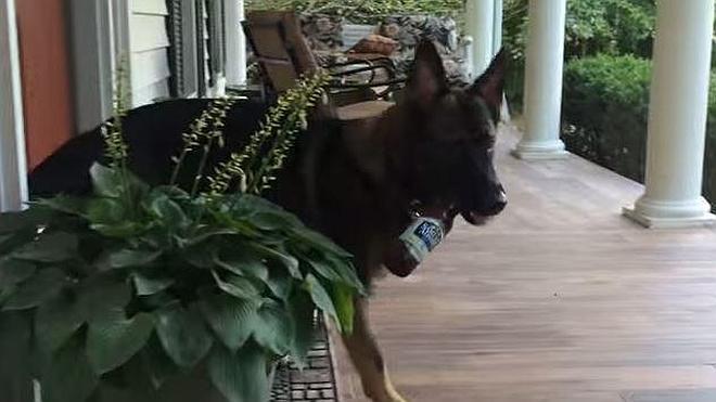 «Te traigo la cerveza, pero con una condición»