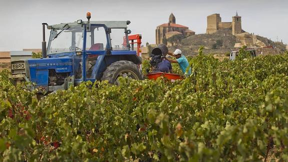 Las Cámaras vascas y la riojana defienden la unidad del Rioja