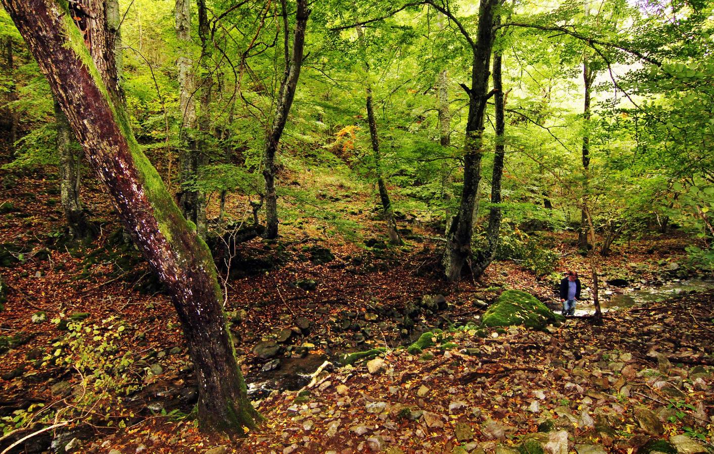 Paisaje de El Rajao. 